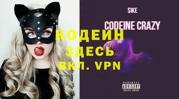 шишки Белокуриха
