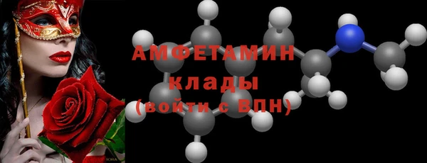 шишки Белокуриха