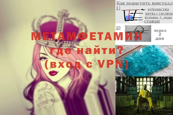 шишки Белокуриха