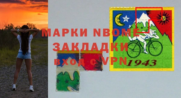 шишки Белокуриха