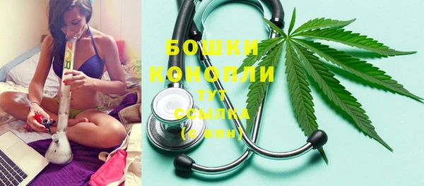 PSILOCYBIN Балабаново