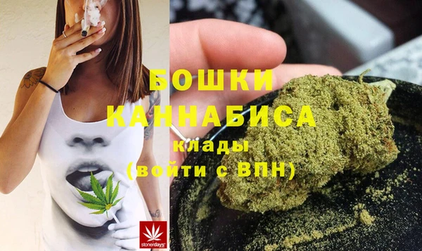 шишки Белокуриха